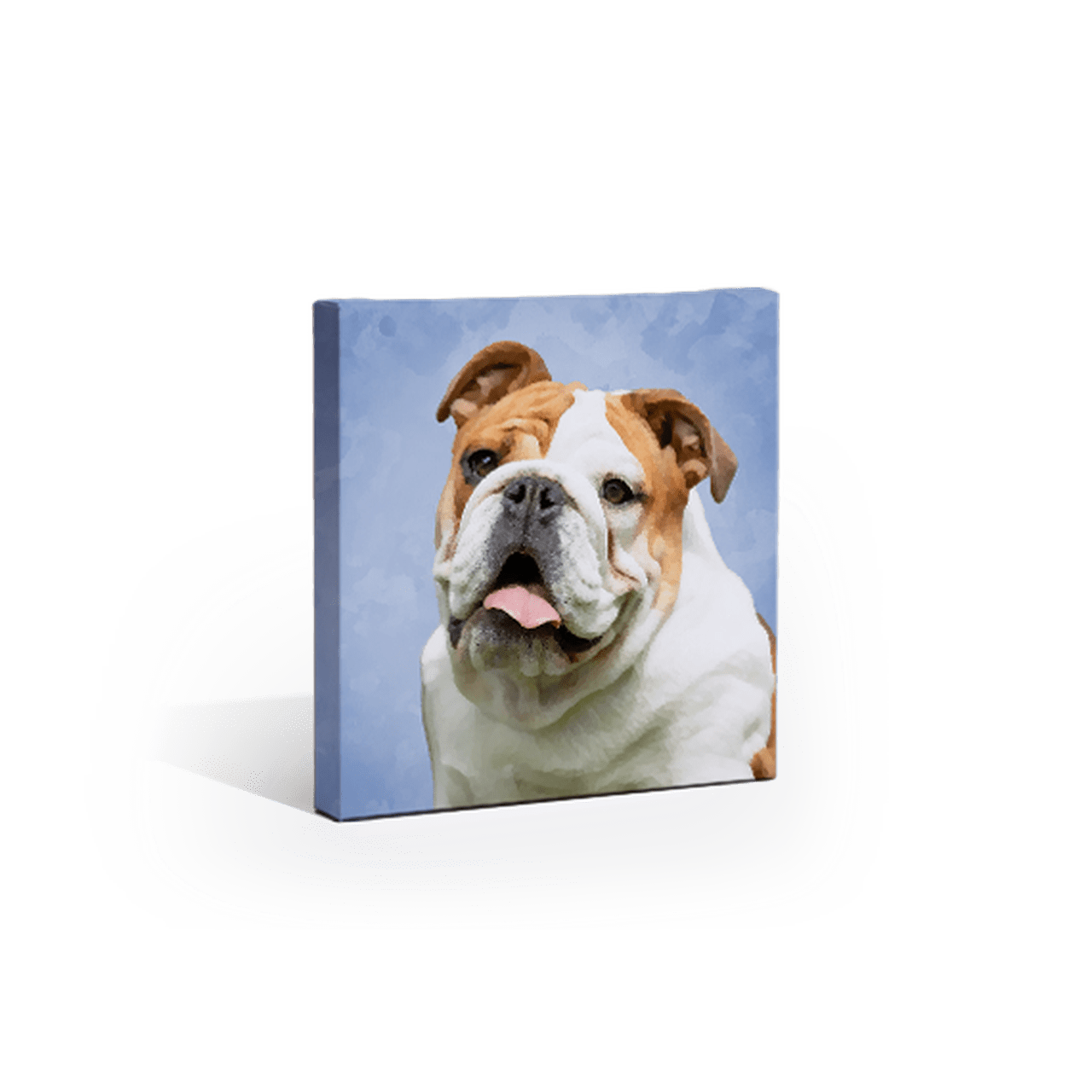 Goodbye Broken Frames, Hello Canvas Prints My Journey to Finding the