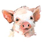 Piglet